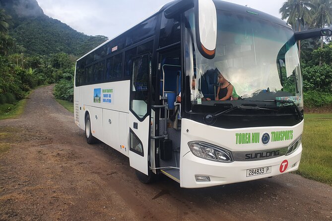 Moorea Island Tour - What this Moorea tour is really designed to do