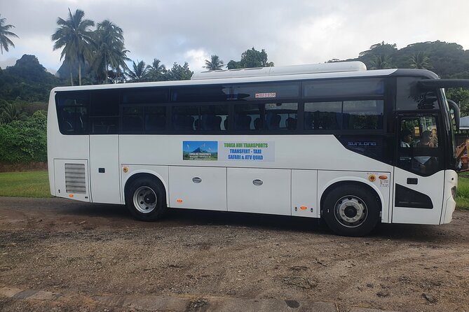 Moorea Island Tour - Belvedere Lookout delivers Moorea’s big view