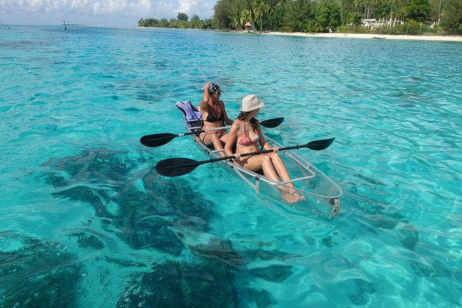 Moorea Lagoon Tour by Transparent Kayak - Snorkeling with sharks and stingrays