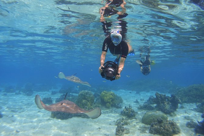 Moorea Private Boat Tour / Sea Scooter Snorkeling Tour - Hotel pickup details around Moorea