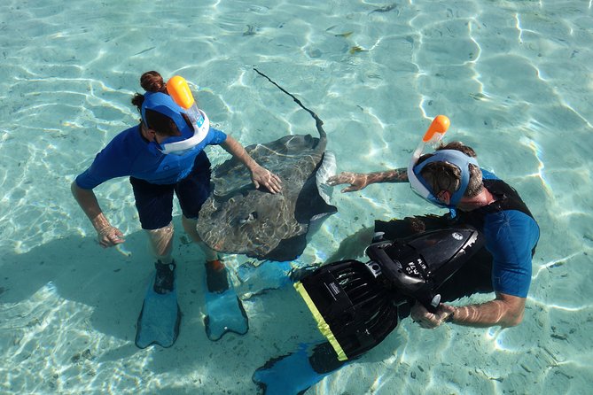 Moorea Private Boat Tour / Sea Scooter Snorkeling Tour - Who should choose this outing