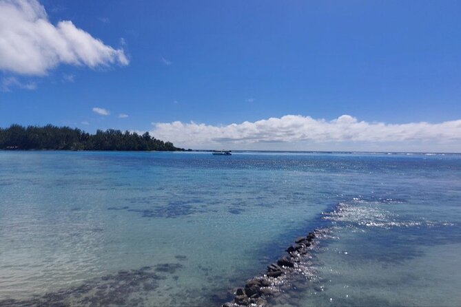 Moorea Private Full Day Tour - Rotui offers a taste of local production