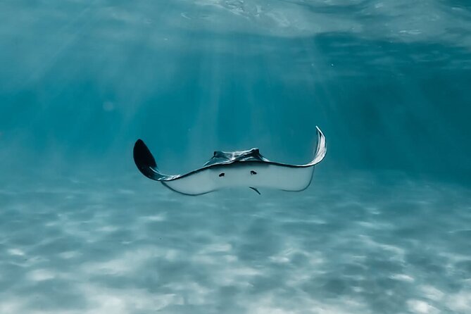 Moorea: Private Snorkeling Tour with Certify Guide - Why a private boat changes the Moorea outing