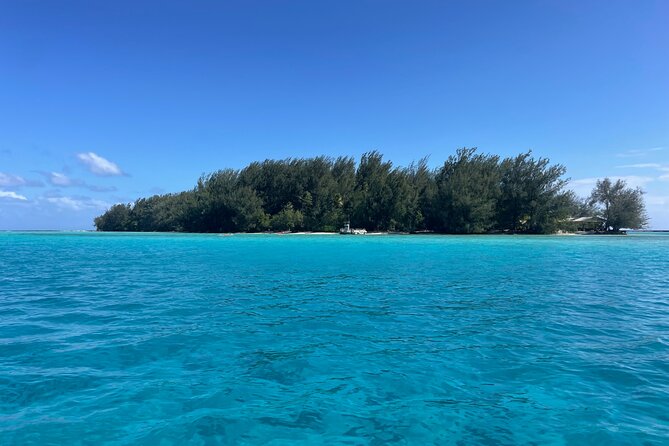 Moorea: Private Snorkeling Tour with Certify Guide - Price: good value for six, harder to justify for two