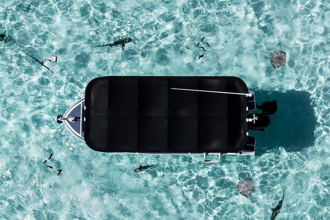 Moorea: Private Snorkeling Tour with Certify Guide - Timing, meeting point, and physical demands