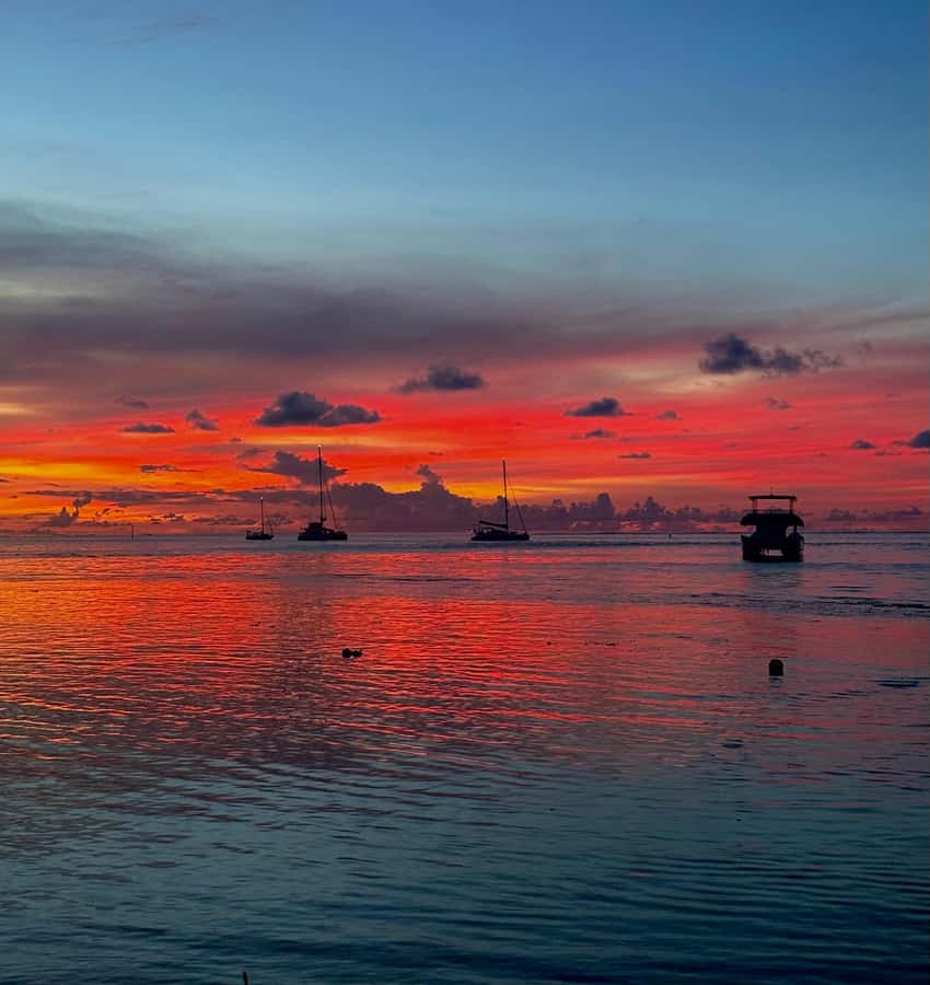 Moorea: Private Sunset Cruise with Champagne & Snorkeling - Starting with snorkeling in Moorea’s lagoon