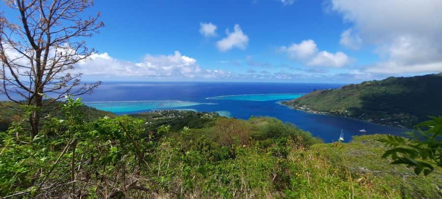 Moorea : Safari Nature and Culture Tour with local guide - Cook’s Bay connects scenery with first contact