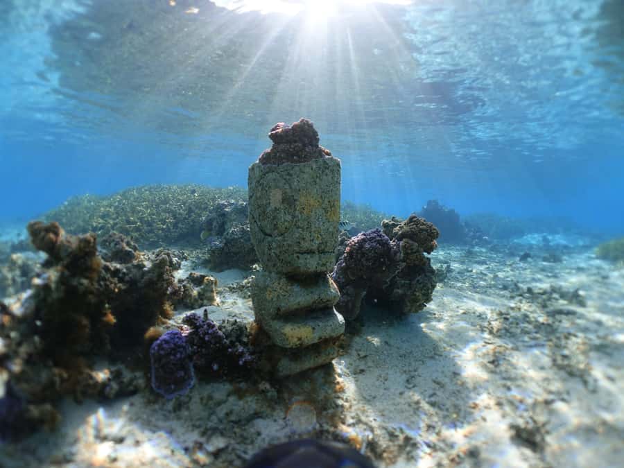 Moorea: Sea Scooter Snorkeling Tour - What happens when the weather turns wet
