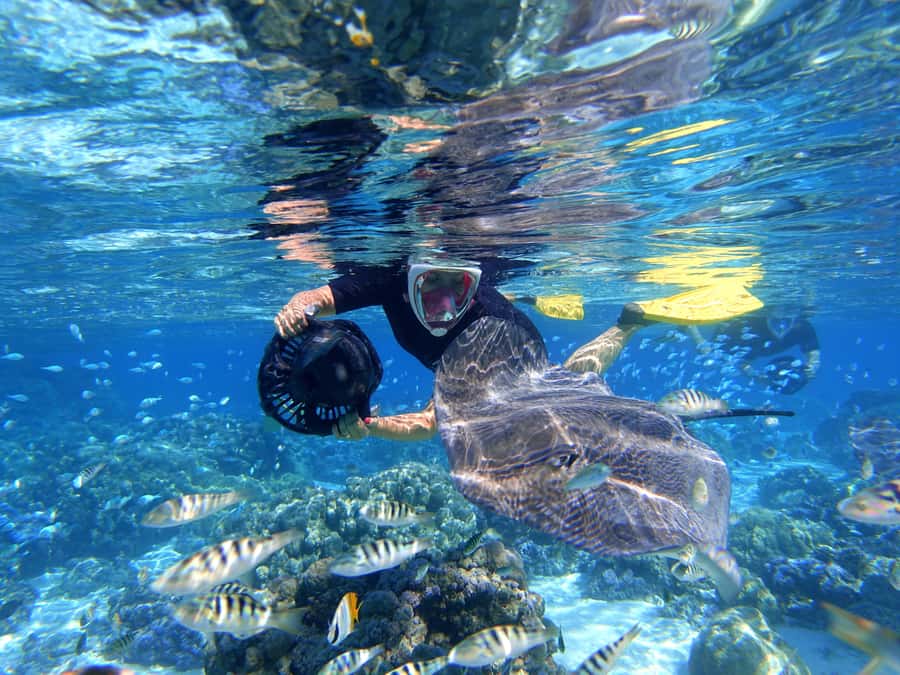 Moorea: Sea Scooter Snorkeling Tour - Practical details that make the morning easier
