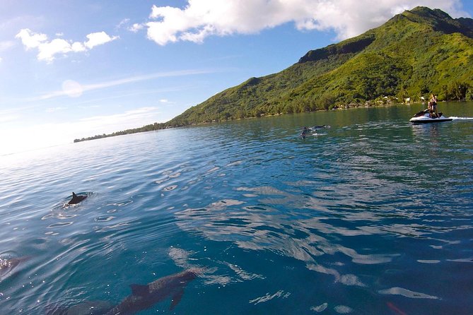 Moorea Solo or Twin 3 hours Jet Ski Tour - Is $131.28 a fair price?
