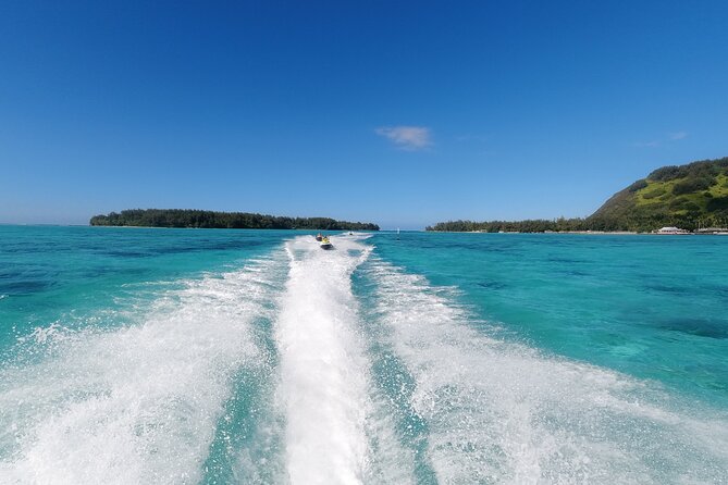 Moorea Solo or Twin Island Tour Jet Ski 4 hours - Moorea Dolphin Center and seasonal whale sightings