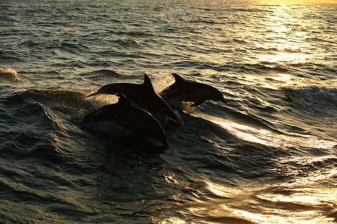 Moorea Sunset Boat Trip - Who will enjoy this Moorea sunset cruise?