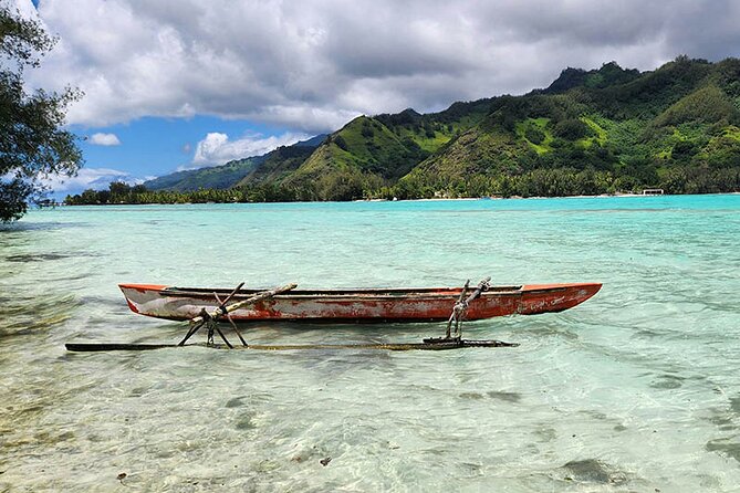 Moorea tour in electric citycoco (in autonomy) - Opunohu Bay and the quieter side of Moorea