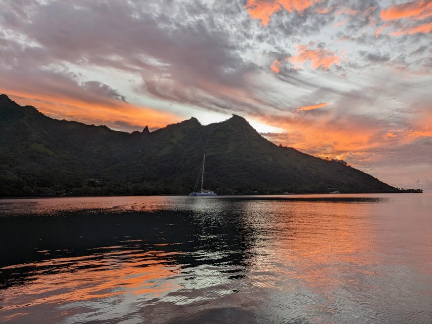 Moorea: Whale watching adventure - What to bring for comfort on the boat