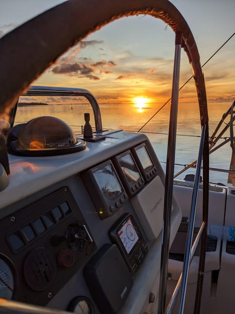 Moorea: Whale watching adventure - Who should skip this whale watch