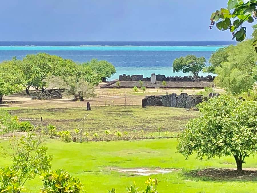 Must-Do : Nature, Culture & Moments Uniques – MirimirI Tours - A four-hour introduction with room to personalize