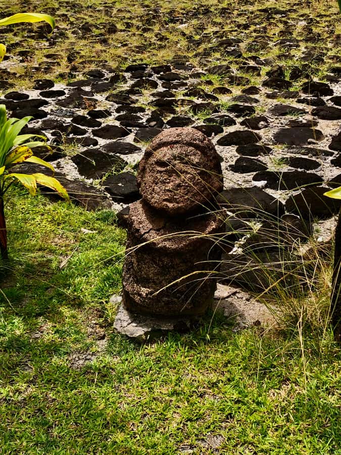 Must-Do : Nature, Culture & Moments Uniques – MirimirI Tours - Faaroa Belvedere and the island’s eastern views