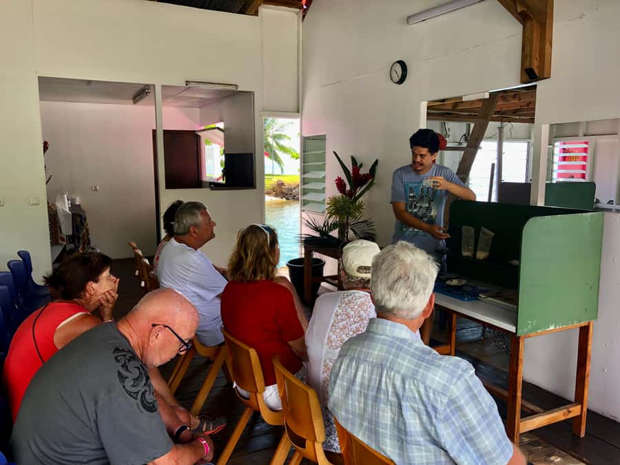Must-Do : Nature, Culture & Moments Uniques – MirimirI Tours - How Cathy shapes the experience