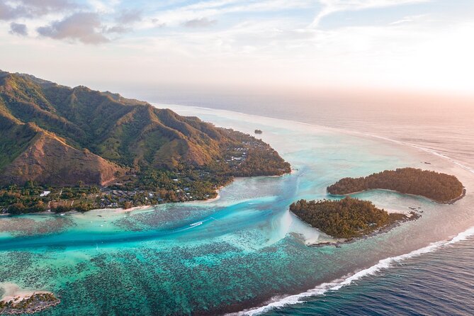 N°1 Moorea Transfers Shuttle Airport Ferry terminal - Key points to know before booking