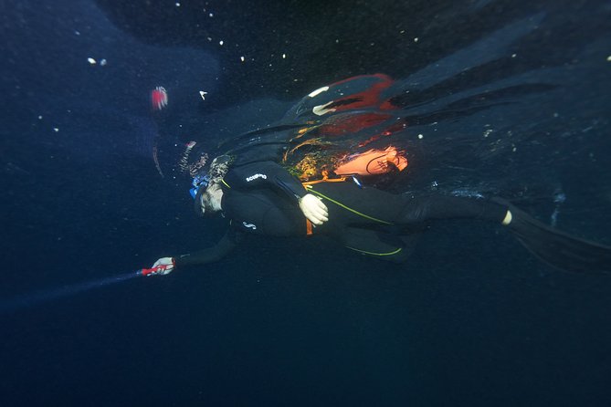 Night Snorkeling - Entering the lagoon after sunset