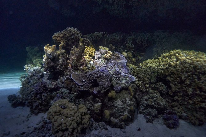 Night Snorkeling - Safety, weather, and your comfort level