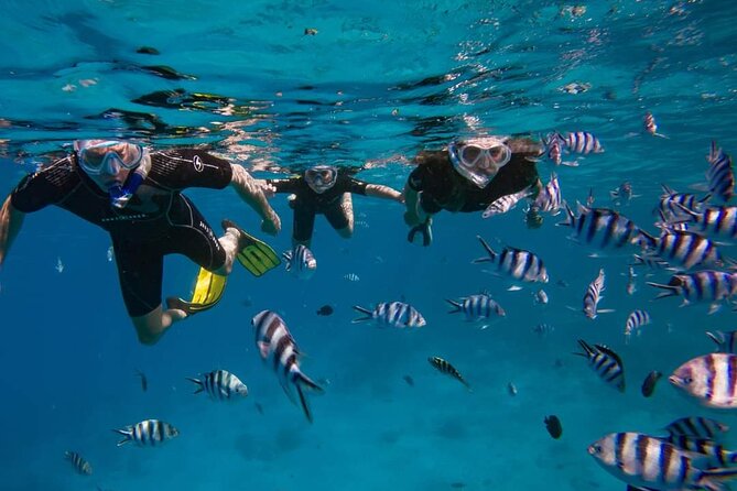 Ocean Discovery and Snorkelling in Tahiti - Setting Out From Puna’auia at 8:00 a.m.
