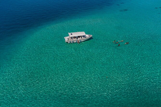 Ocean Discovery and Snorkelling in Tahiti - Turtles, Tropical Fish, and Coral Gardens