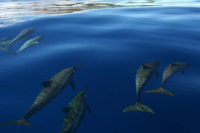 Ocean Discovery and Snorkelling in Tahiti - Taapuna Surf Spot and the Mid-Lagoon Sandbank