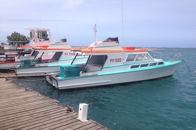 Papeete and Tahiti Historical and Cultural Tour - One hour in central Papeete