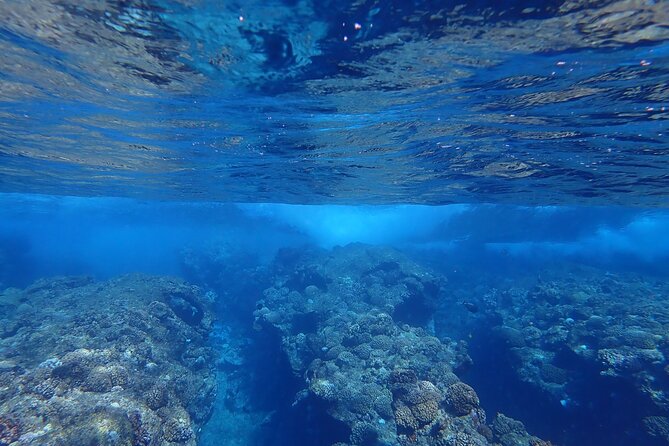 Private 4 Hours Reef Discovery Luxury Private Treasure Hunt in Bora Bora - Starting at 9:00 am on a private boat
