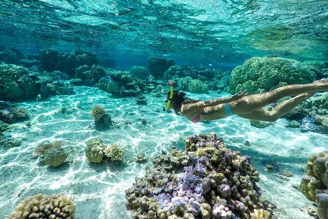Private 4 Hours Reef Discovery Luxury Private Treasure Hunt in Bora Bora - Stop two: eagle rays and open-water excitement