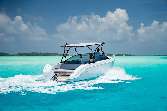 Private 4 Hours Reef Discovery Luxury Private Treasure Hunt in Bora Bora - Stop four: manta rays, sharks, and the final clue