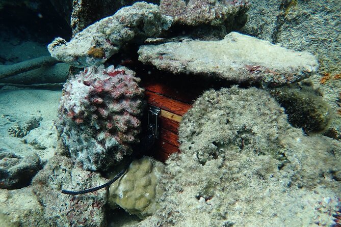 Private 4 Hours Reef Discovery Luxury Private Treasure Hunt in Bora Bora - Stop one: beginning the treasure mission