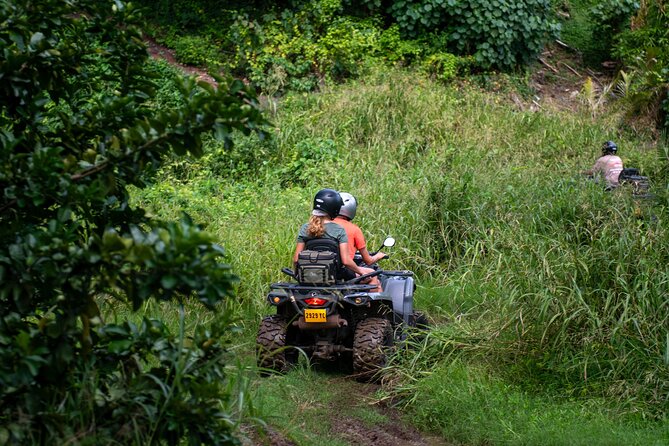Private ATV or Quad Adventure in Bora Bora - Forest trails and the route around the island