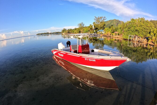 Private Big Game Fishing Day - Learning from Matahi and the fishing crew