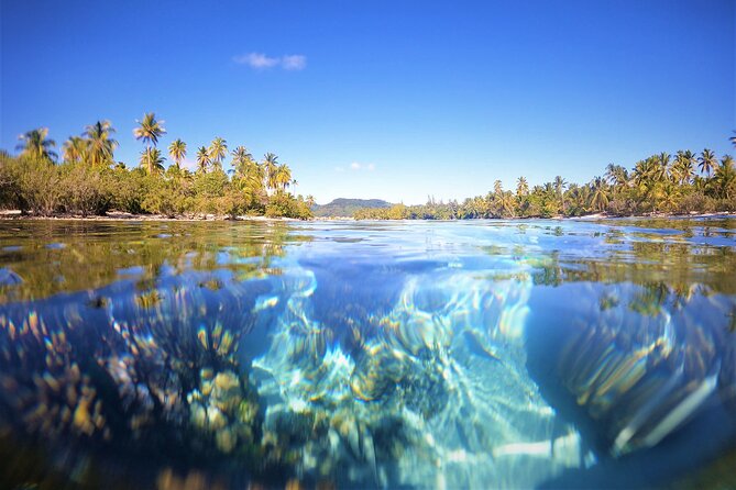 Private Big Game Fishing Tour in Raiatea - The snorkeling stop adds a welcome change of pace