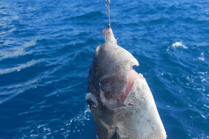 Private Big Game Fishing Tour in Raiatea - Is the $1,275.37 price good value?