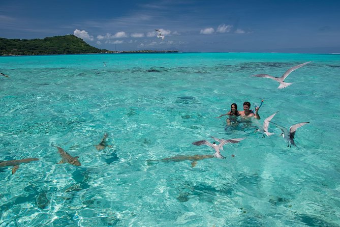 Private Boat Rental on Cap Camarat 17ft - Swimming With Sharks And Rays