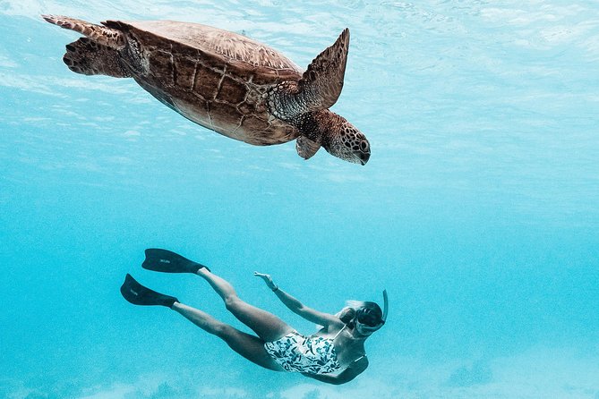 Private Boat Tour of Moorea Lagoon - Why a private Moorea boat tour feels different