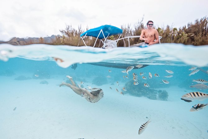 Private Boat Tour of Moorea Lagoon - How Luna and Clem tailor the three-hour route