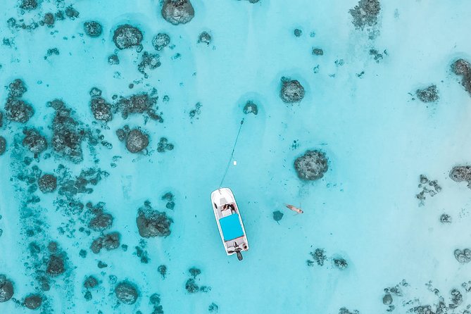 Private Boat Tour of Moorea Lagoon - Weather, comfort, and the practical limits
