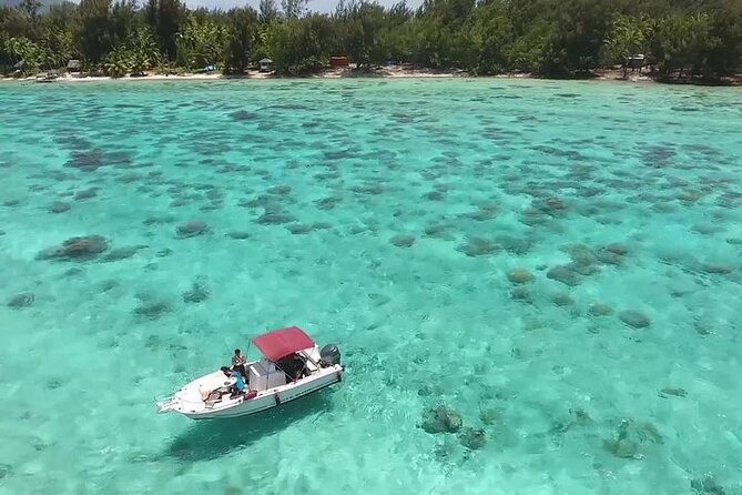 Private Bora Bora Lagoon Experience - Snorkeling in Bora Bora’s coral gardens