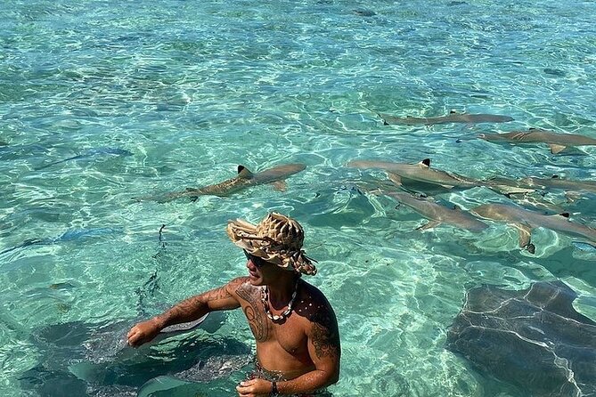 Private Bora Bora Lagoon Experience - Looking for sharks and other lagoon life