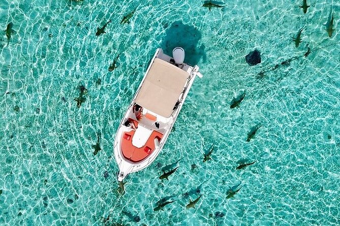 Private Bora Bora Lagoon Experience - Weather, timing, and what to bring