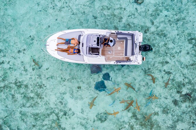 Private Bora Bora Snorkeling Cruise with Optional Vegetarian Lunch on the Beach - The three-hour cruise: a focused lagoon outing