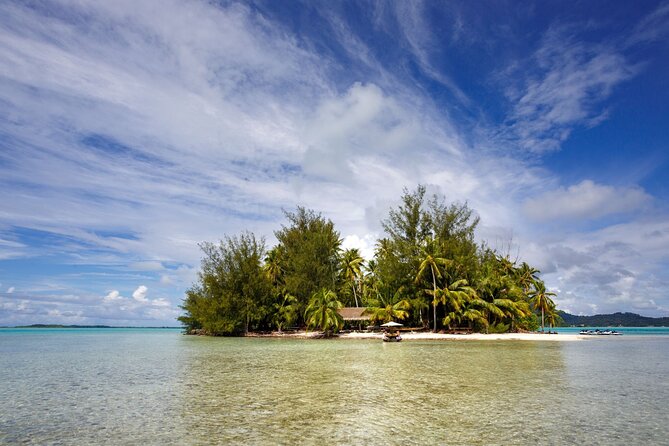 Private Bora Bora Snorkeling Cruise with Optional Vegetarian Lunch on the Beach - Starting at 9:00 am from your hotel or Vaitape