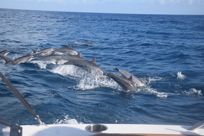 Private Day Trip Hike and Boat in Moorea - Lunch on the boat at a motu