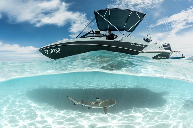 Private Day Trip Hike and Boat in Moorea - Marine life with a marine biologist