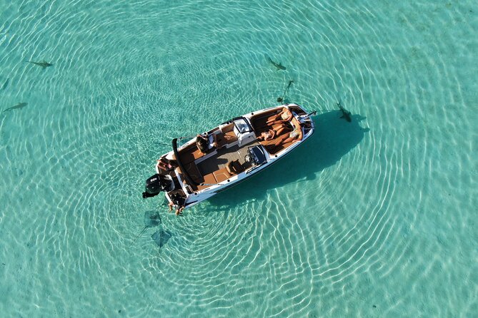 Private Day Trip Hike and Boat in Moorea - The guides and the feel of a private day