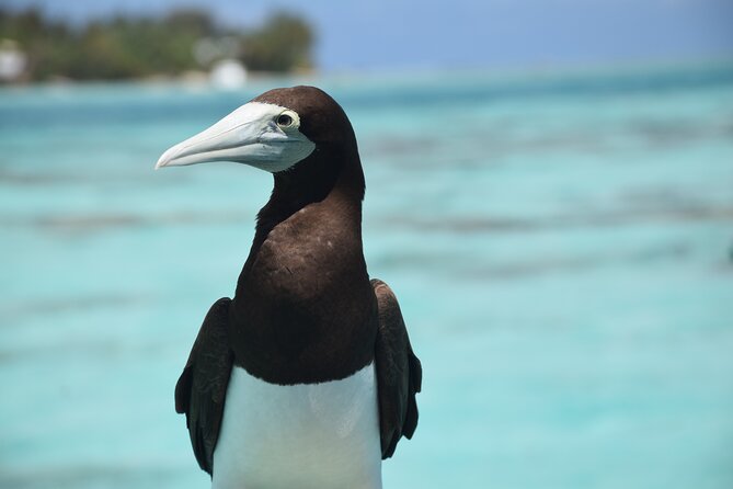 Private Day Trip Hike and Boat in Moorea - Is the $1,822 price good value?